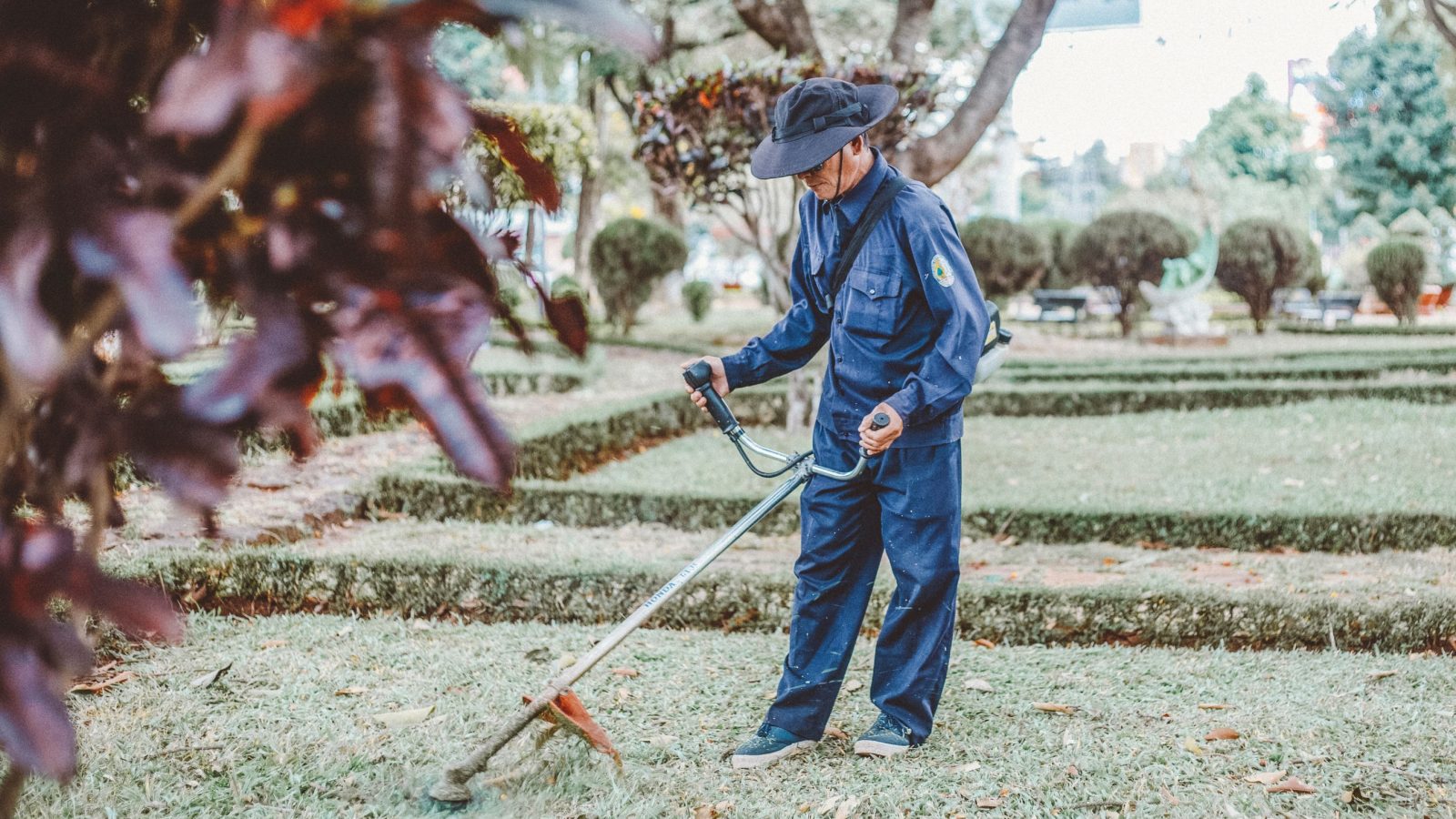 Gepflegter Garten nach der Gartenpflege durch Hausservice Rheinland